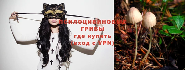 прущий лед Лагань