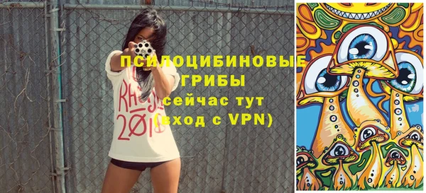 прущий лед Лагань